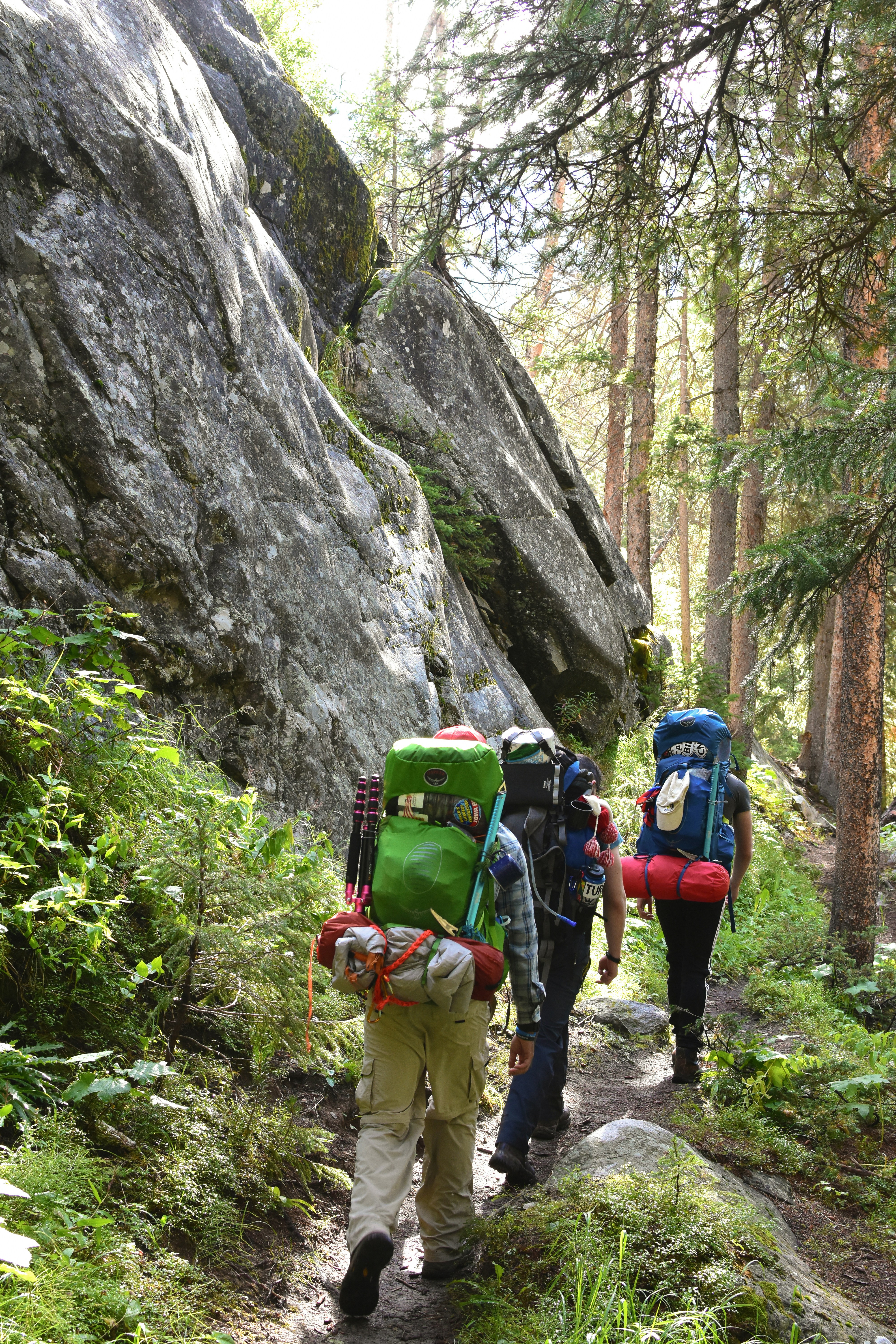 Backpackers hiking a backcountry trail